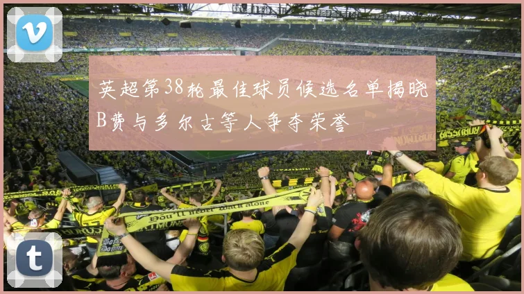 英超第38轮最佳球员候选名单揭晓B费与多尔古等人争夺荣誉