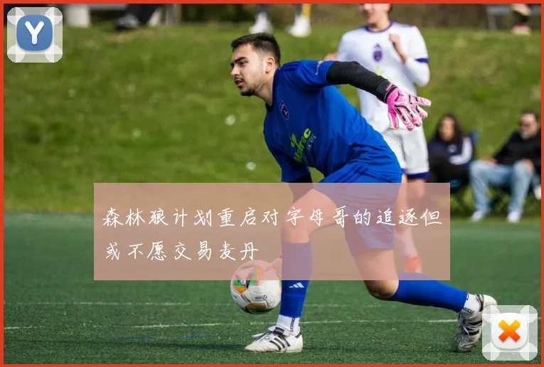 森林狼计划重启对字母哥的追逐但或不愿交易麦丹