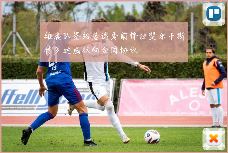 雄鹿队签约落选秀前锋拉斐尔卡斯特罗达成双向合同协议